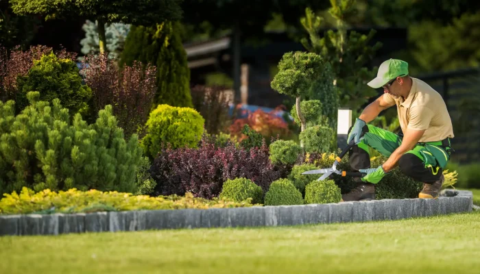 how-to-start-a-landscaping-business-in-dubai-uae